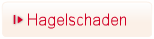 Hagelschaden